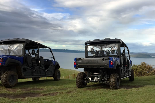 Off Road 4WD Buggy Experience Rotorua NZ Adventure Playground