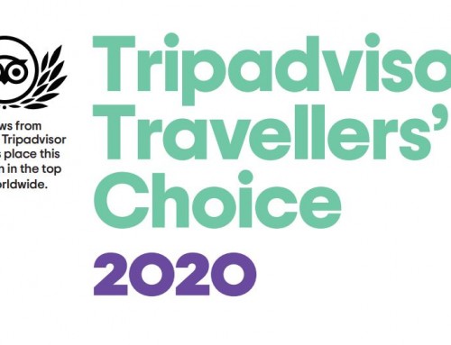 We’re a 2020 Travellers’ Choice Winner!!