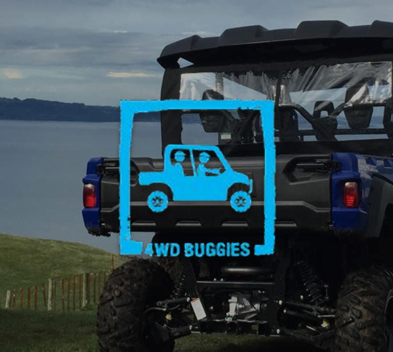 4wd Buggy